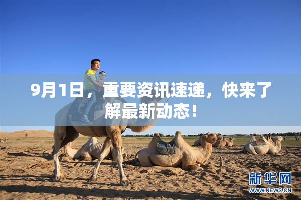 9月1日，重要资讯速递，快来了解最新动态！