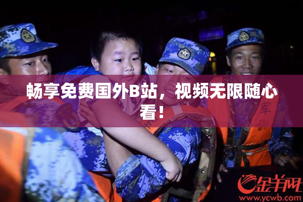 畅享免费国外B站，视频无限随心看！