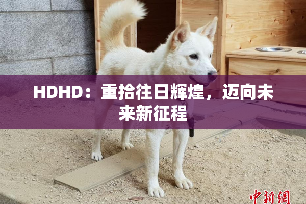 HDHD：重拾往日辉煌，迈向未来新征程
