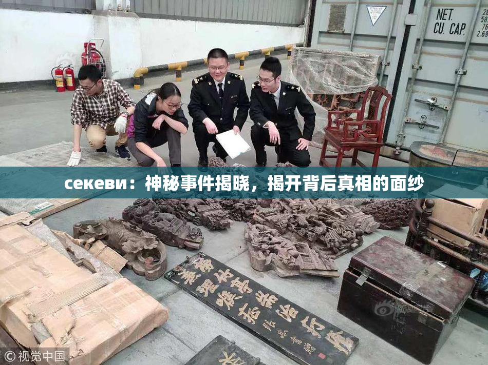 ceкеви：神秘事件揭晓，揭开背后真相的面纱