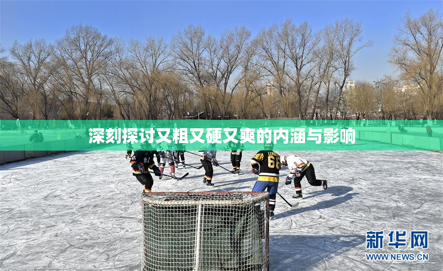 深刻探讨又粗又硬又爽的内涵与影响
