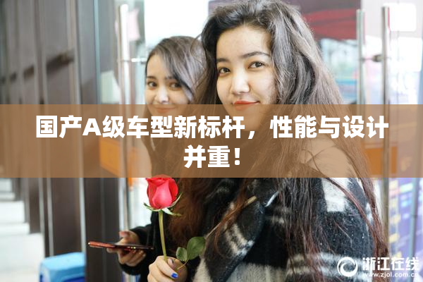 国产A级车型新标杆，性能与设计并重！
