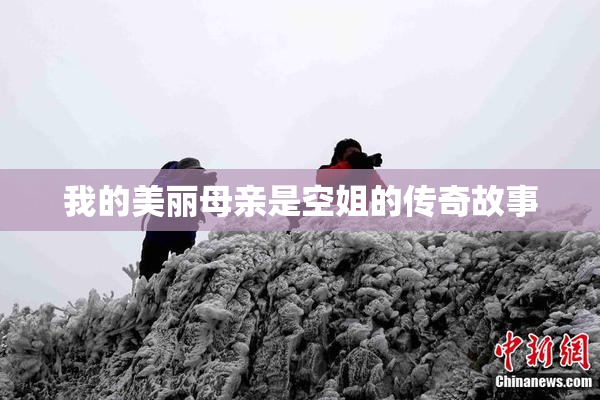 我的美丽母亲是空姐的传奇故事