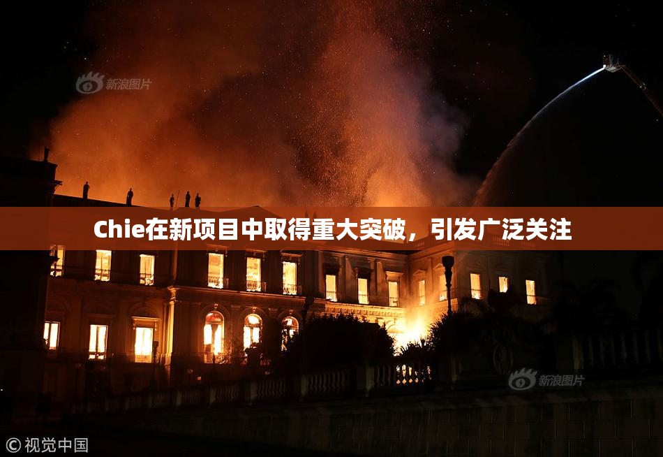 Chie在新项目中取得重大突破，引发广泛关注