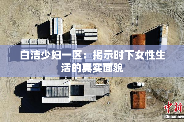 白洁少妇一区：揭示时下女性生活的真实面貌