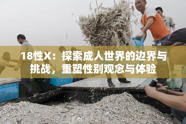 18性X：探索成人世界的边界与挑战，重塑性别观念与体验