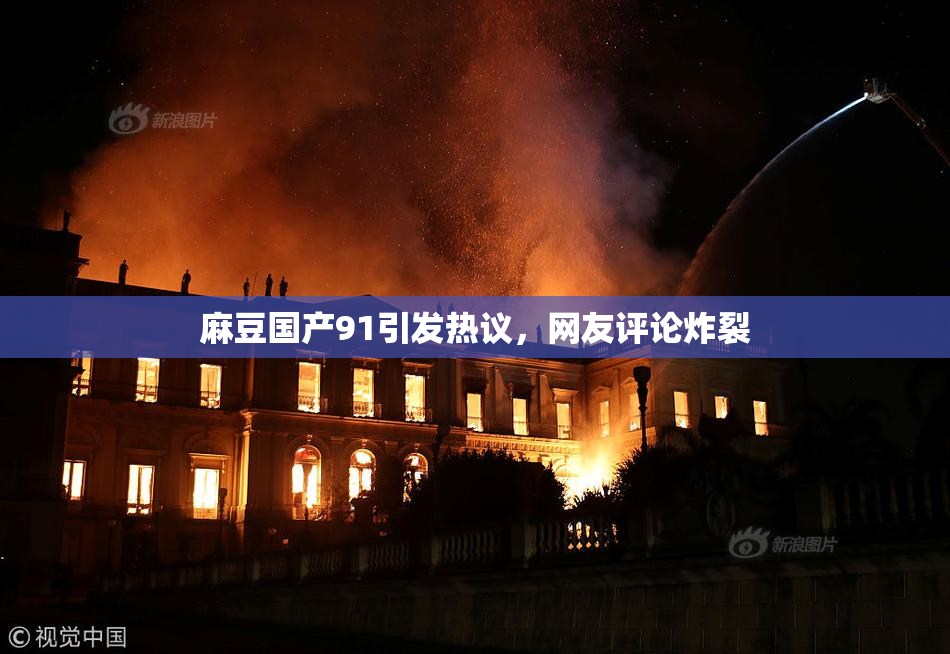 麻豆国产91引发热议，网友评论炸裂