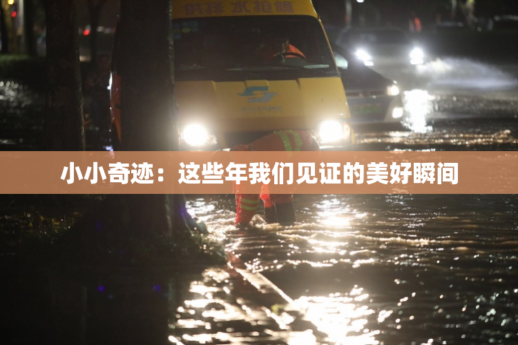 小小奇迹：这些年我们见证的美好瞬间