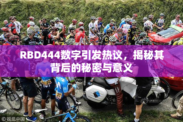 RBD444数字引发热议，揭秘其背后的秘密与意义