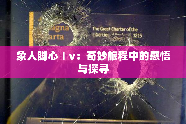 象人脚心Ⅰv：奇妙旅程中的感悟与探寻