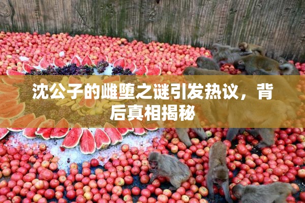 沈公子的雌堕之谜引发热议，背后真相揭秘