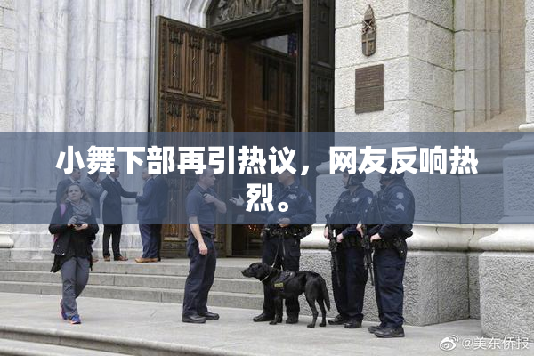 小舞下部再引热议，网友反响热烈。