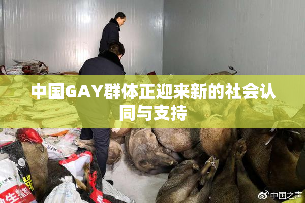 中国GAY群体正迎来新的社会认同与支持