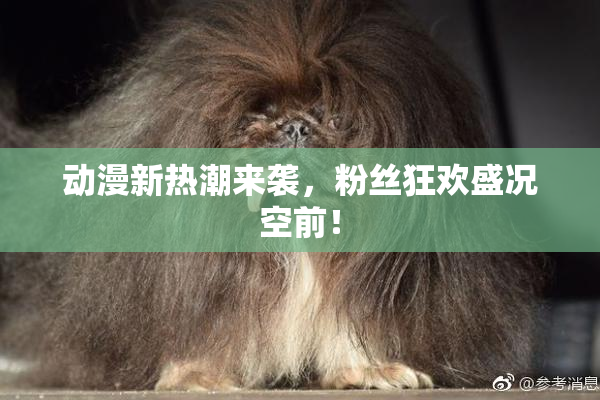 动漫新热潮来袭，粉丝狂欢盛况空前！