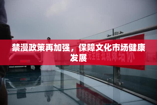 禁漫政策再加强，保障文化市场健康发展