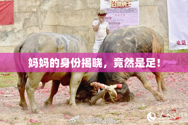 妈妈的身份揭晓，竟然是足！