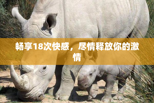 畅享18次快感，尽情释放你的激情
