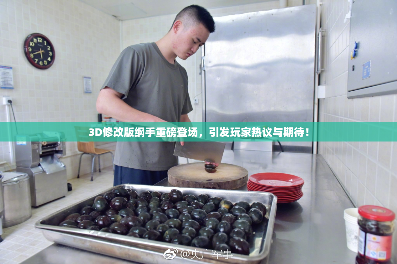 3D修改版纲手重磅登场，引发玩家热议与期待！