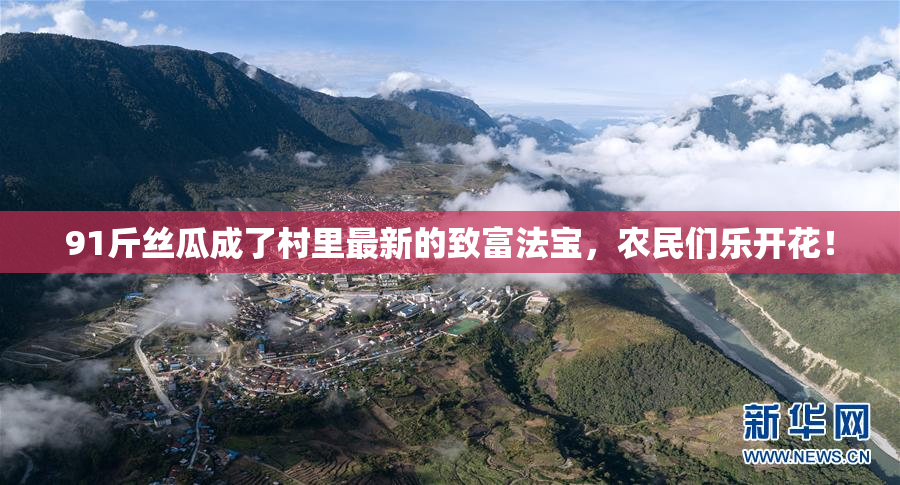 91斤丝瓜成了村里最新的致富法宝，农民们乐开花！