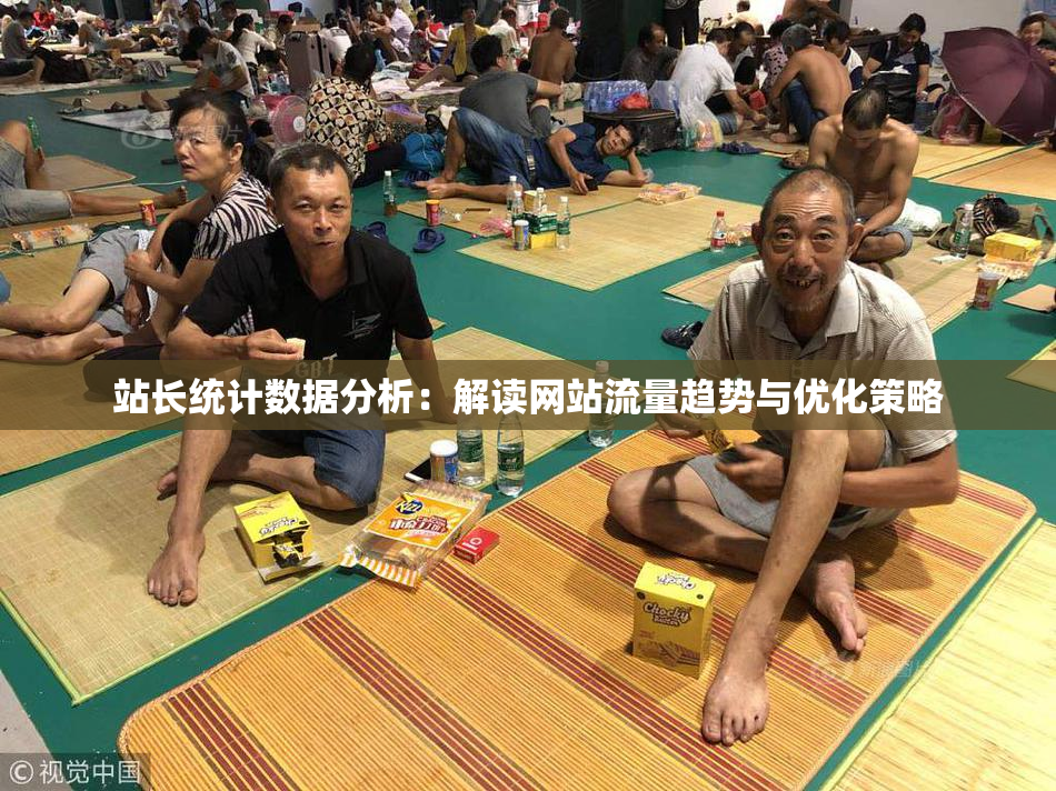 站长统计数据分析：解读网站流量趋势与优化策略