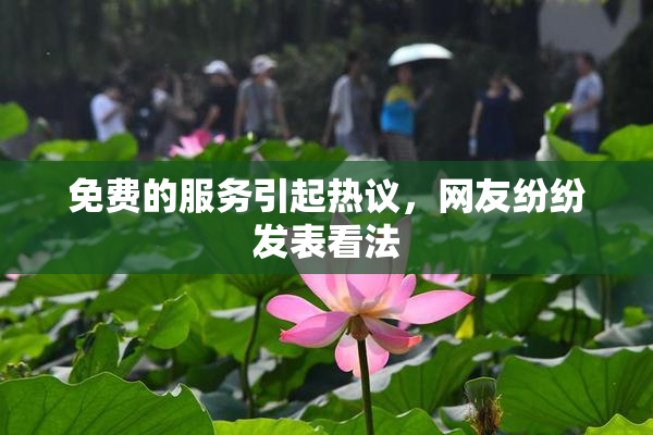 免费的服务引起热议，网友纷纷发表看法
