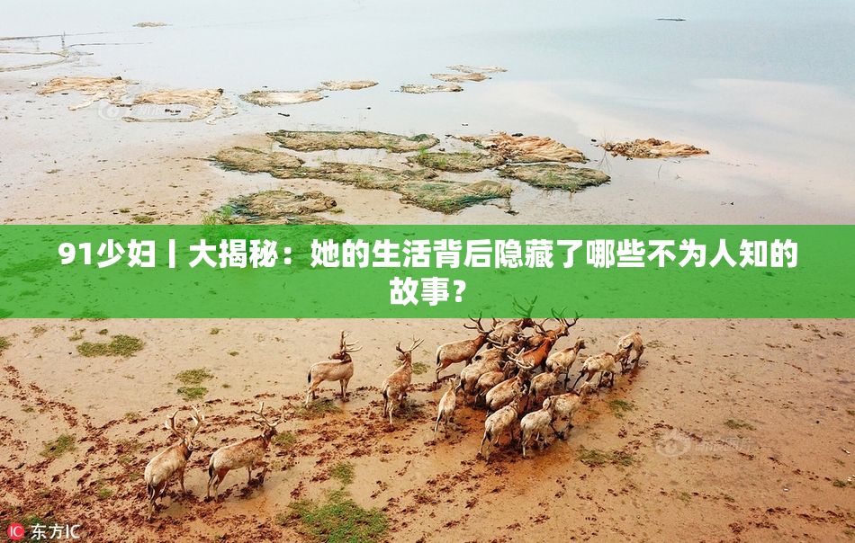 91少妇丨大揭秘：她的生活背后隐藏了哪些不为人知的故事？