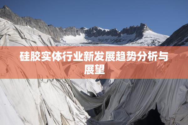 硅胶实体行业新发展趋势分析与展望