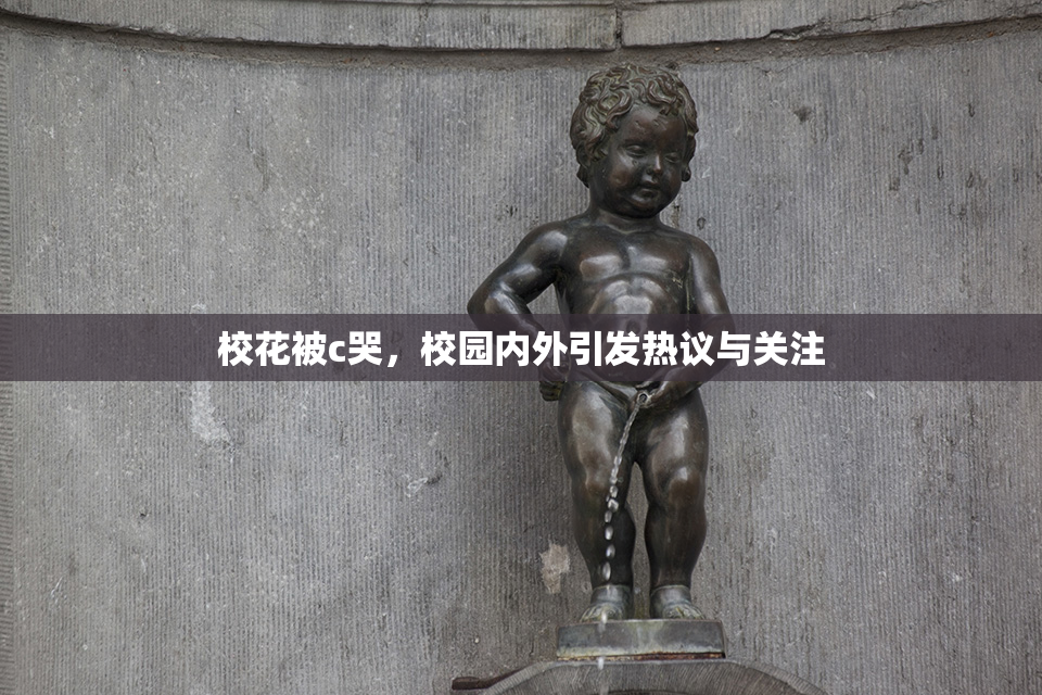 校花被c哭，校园内外引发热议与关注