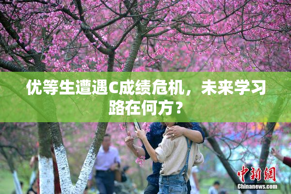 优等生遭遇C成绩危机，未来学习路在何方？