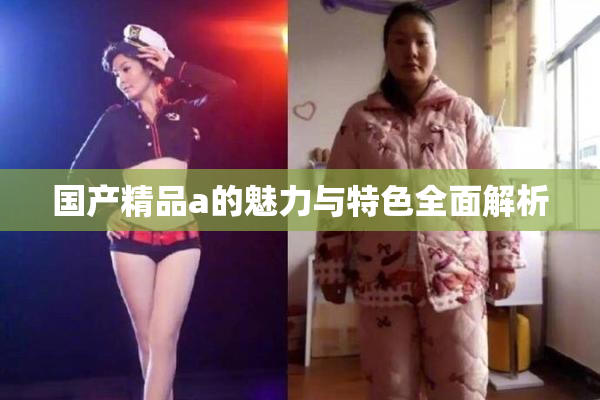 国产精品a的魅力与特色全面解析