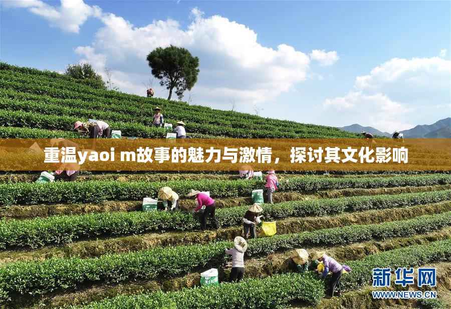 重温yaoi m故事的魅力与激情，探讨其文化影响