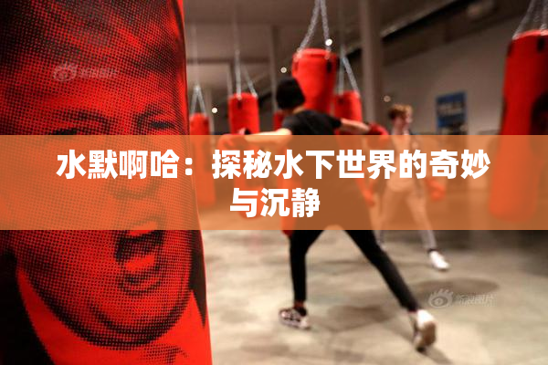 水默啊哈：探秘水下世界的奇妙与沉静