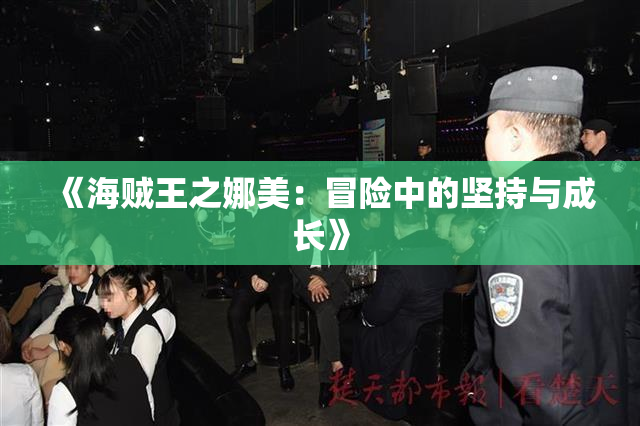 《海贼王之娜美：冒险中的坚持与成长》