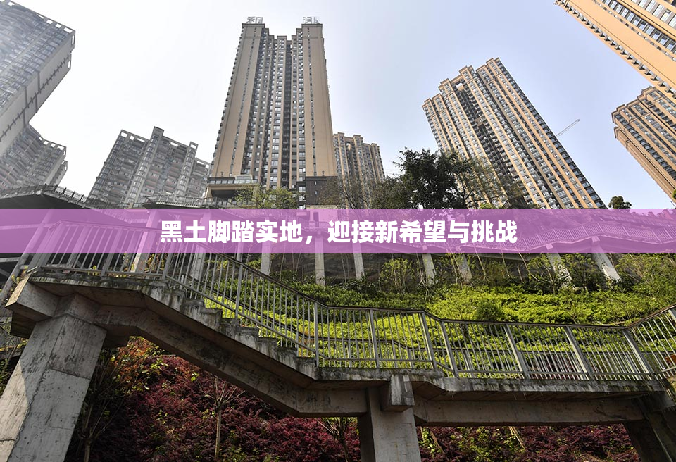 黑土脚踏实地，迎接新希望与挑战