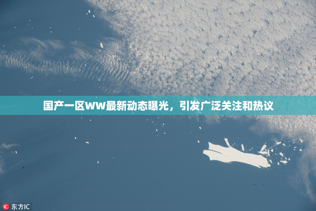 国产一区WW最新动态曝光，引发广泛关注和热议