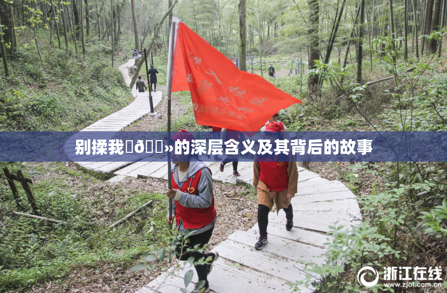 别揉我‌🐻的深层含义及其背后的故事