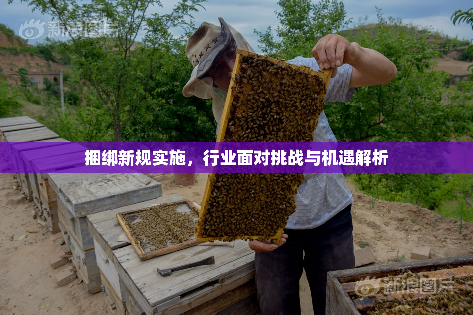 捆绑新规实施，行业面对挑战与机遇解析