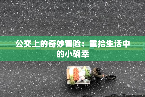 公交上的奇妙冒险：重拾生活中的小确幸