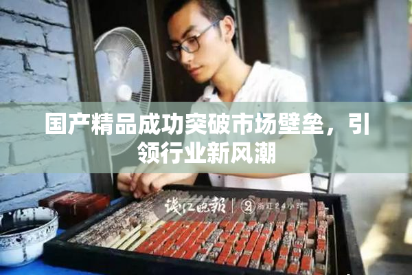 国产精品成功突破市场壁垒，引领行业新风潮
