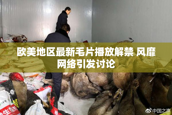 欧美地区最新毛片播放解禁 风靡网络引发讨论
