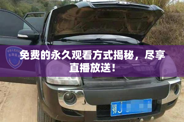 免费的永久观看方式揭秘，尽享直播放送！