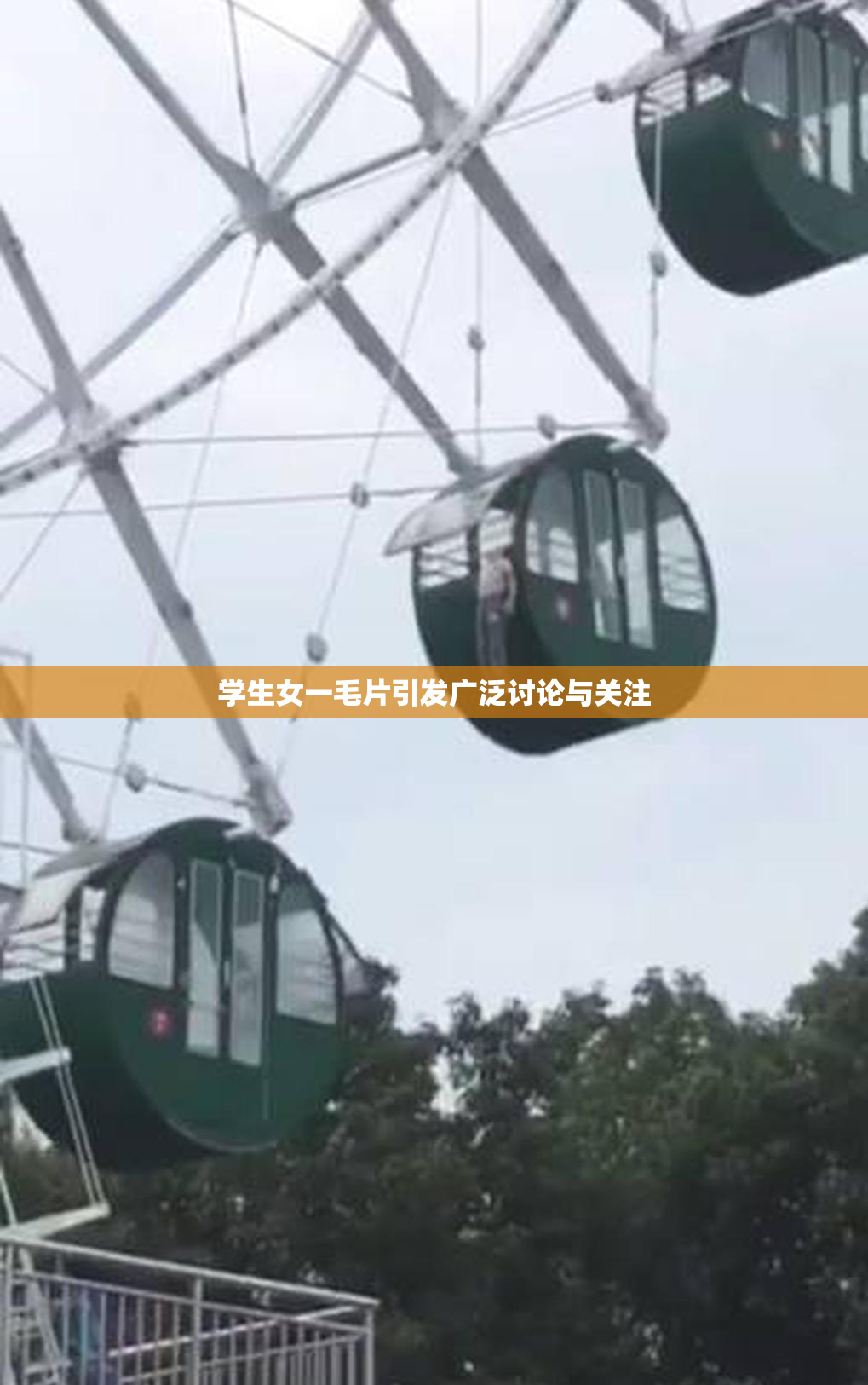 学生女一毛片引发广泛讨论与关注
