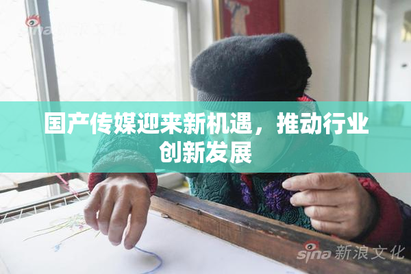 国产传媒迎来新机遇，推动行业创新发展