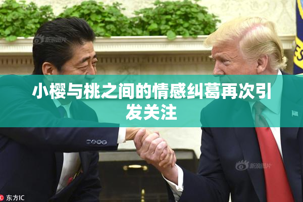 小樱与桃之间的情感纠葛再次引发关注