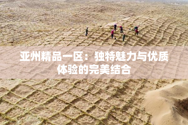 亚州精品一区：独特魅力与优质体验的完美结合