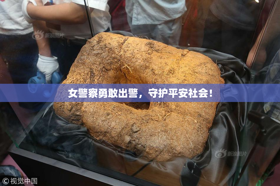 女警察勇敢出警，守护平安社会！