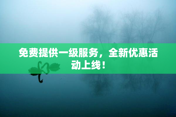 免费提供一级服务，全新优惠活动上线！