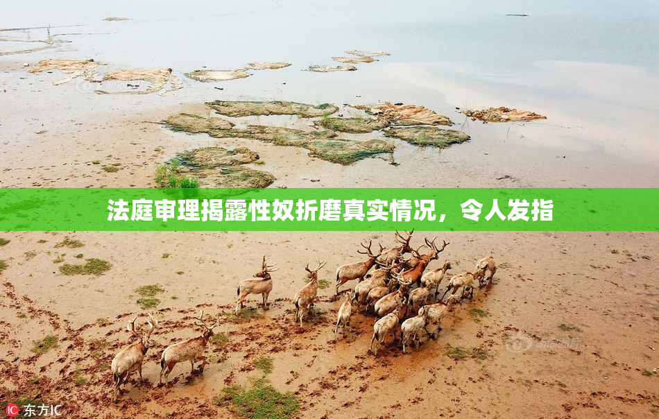 法庭审理揭露性奴折磨真实情况，令人发指