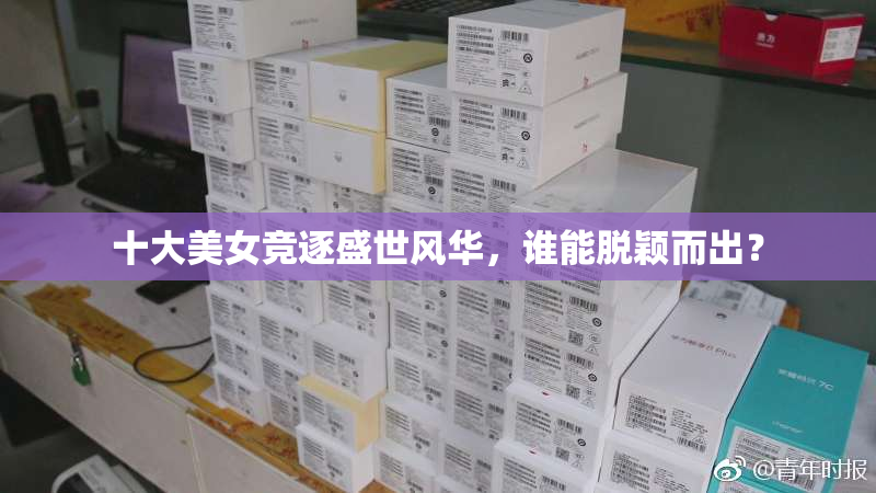 十大美女竞逐盛世风华，谁能脱颖而出？