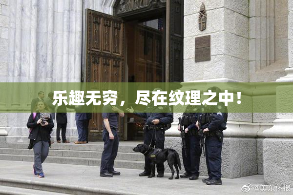 乐趣无穷，尽在纹理之中！